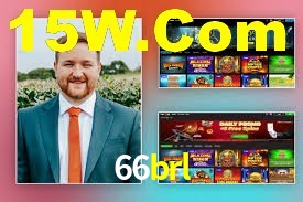 Premium Interface 66brl